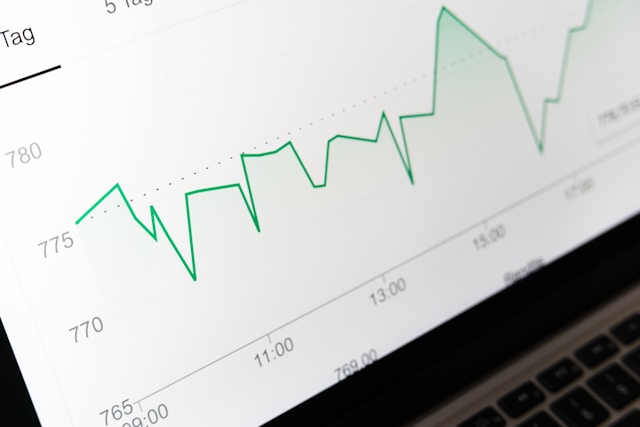Statistical & Psychometric Support