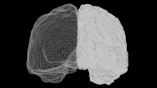Neural Pathways Representation